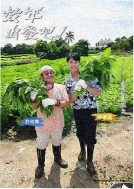 四海影院旅行综艺周末去哪儿